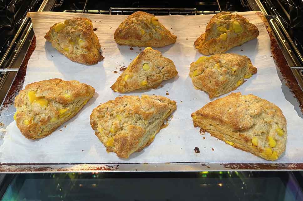 Vanilla peach scones hot from the oven.
