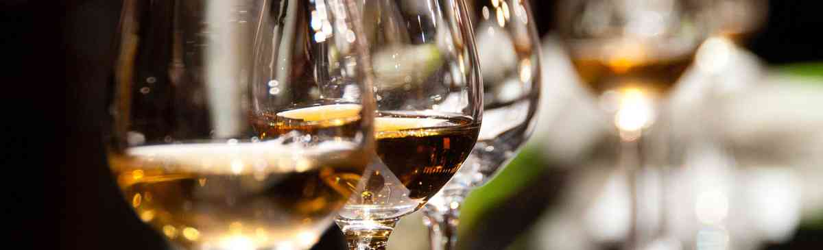 Whisky tasting glasses lined up on a table.