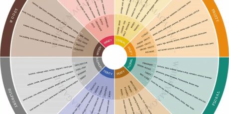 Whisky Magazine Flavour Wheel