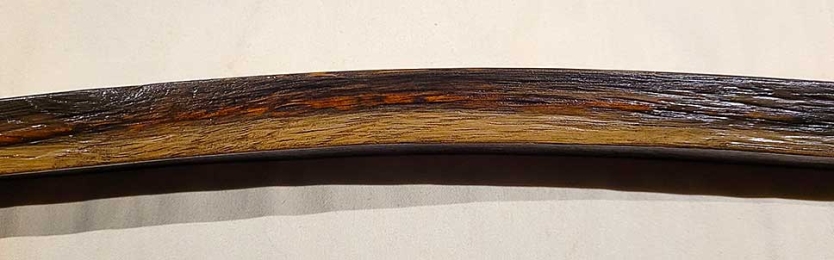 Crosscut showing red whisky penetration depth.