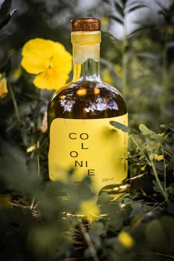 Colony Amber Apirum from Miellerie King.